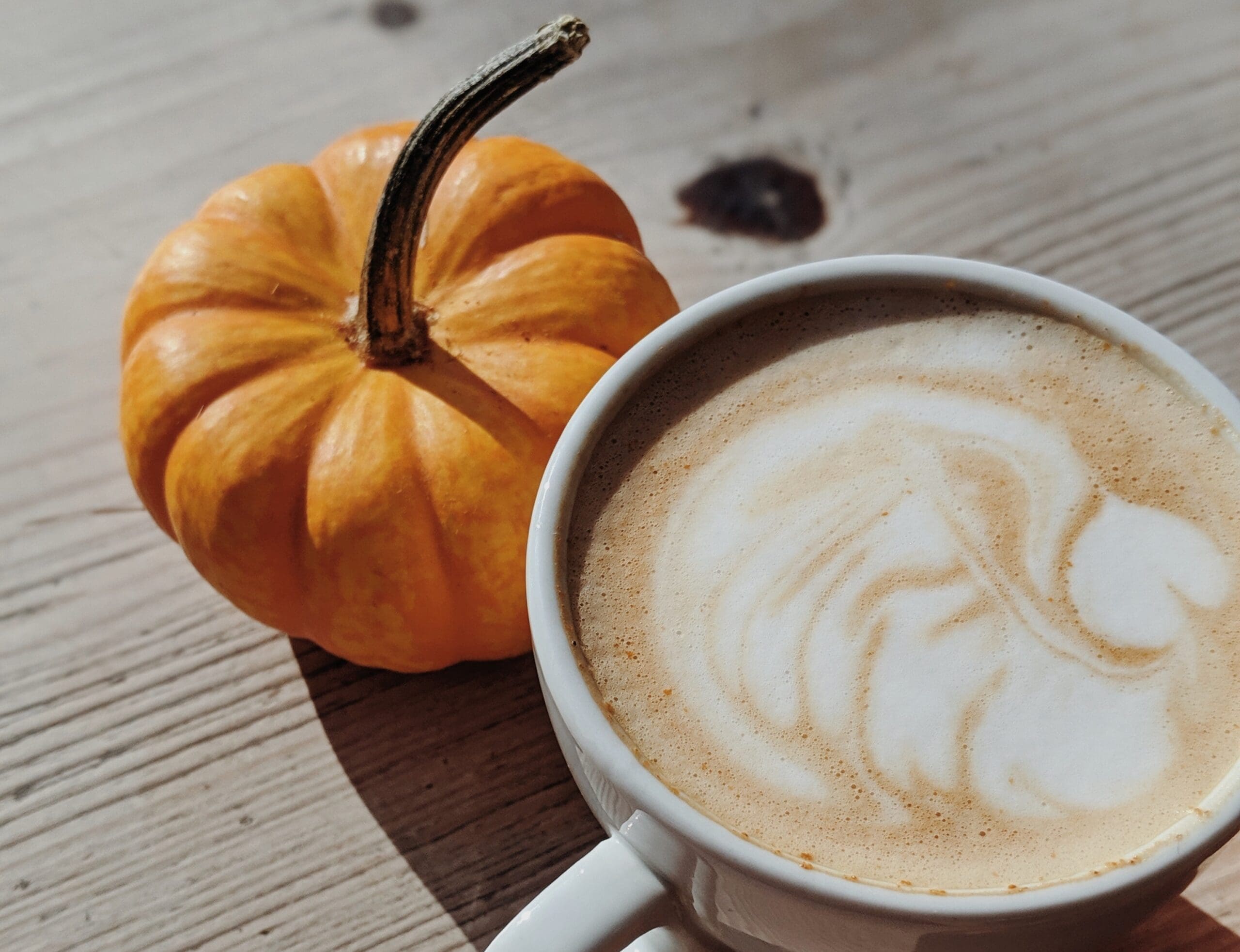 Goût citrouille et épices pour Halloween