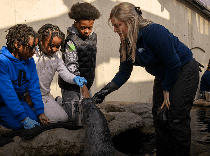 Kids touching a seal at the New England Aquarium