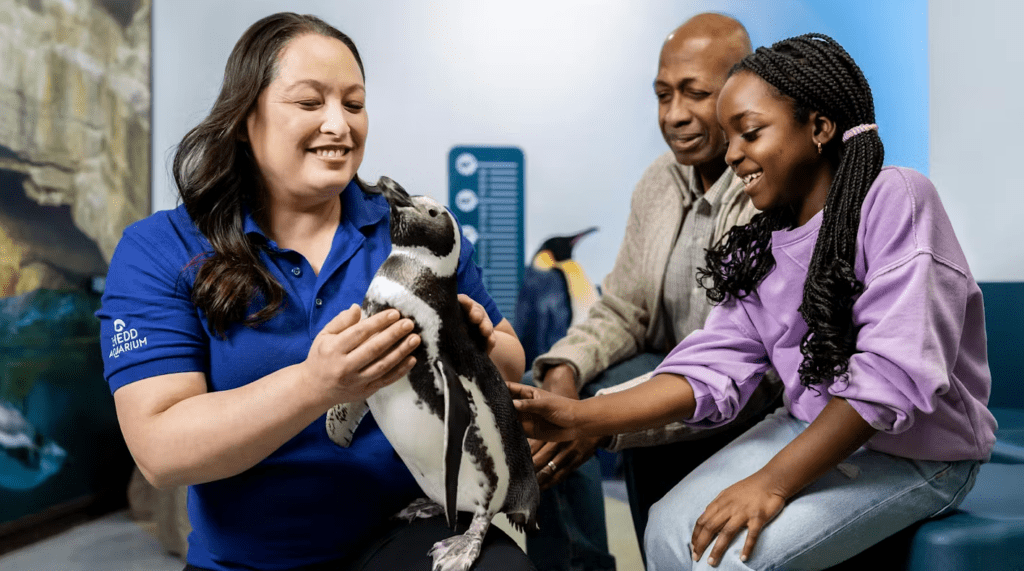 Kids enjoying a penguin visit at Shedd Aquarium