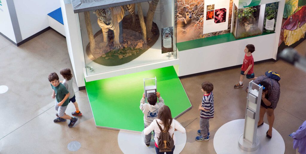 Children exploring animal exhibits at California Academy of Sciences