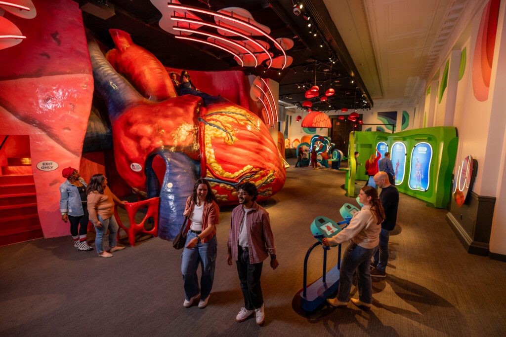 Interactive heart exhibit at the Franklin Institute