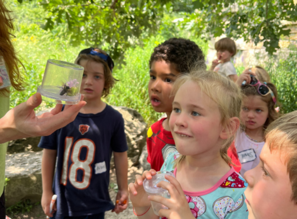 Children observing nature at Peggy Notebaert Nature Museum