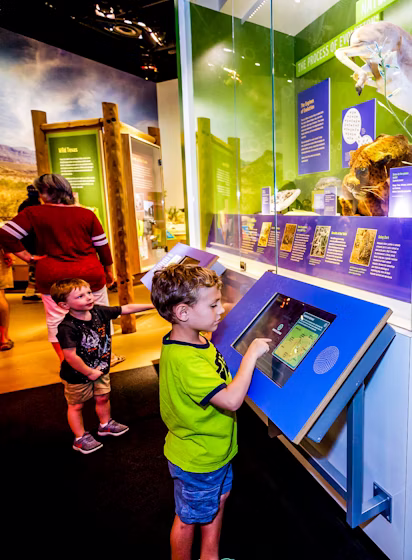 Kids exploring hands on exhibits at the Perot Museum in Dallas.