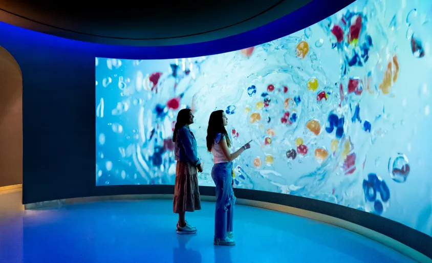 Interactive digital exhibit at World of Coca-Cola in Atlanta.